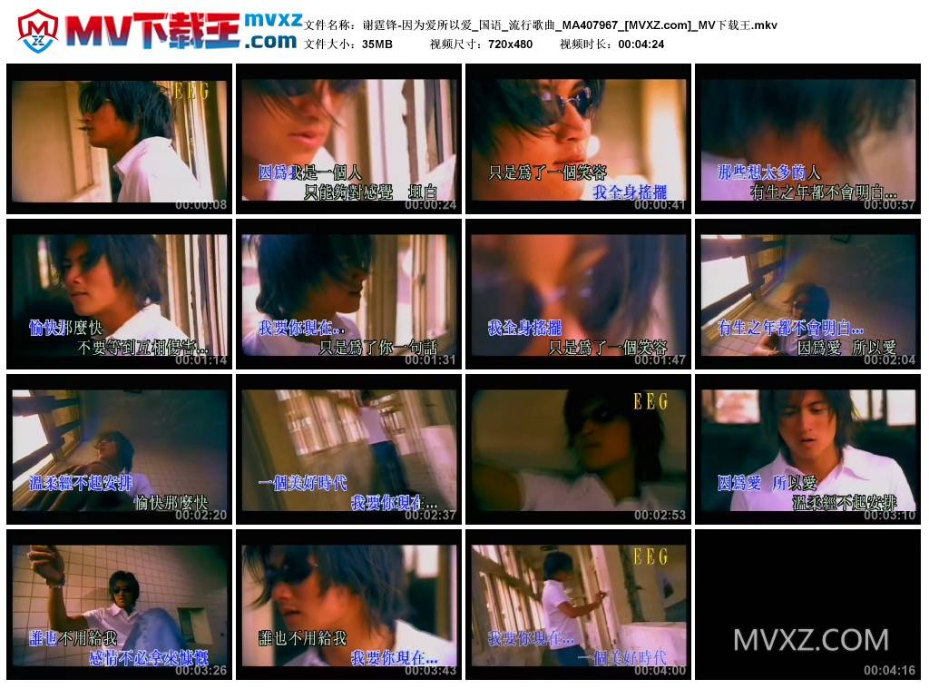 谢霆锋-因为爱所以爱_国语_流行歌曲_MA407967